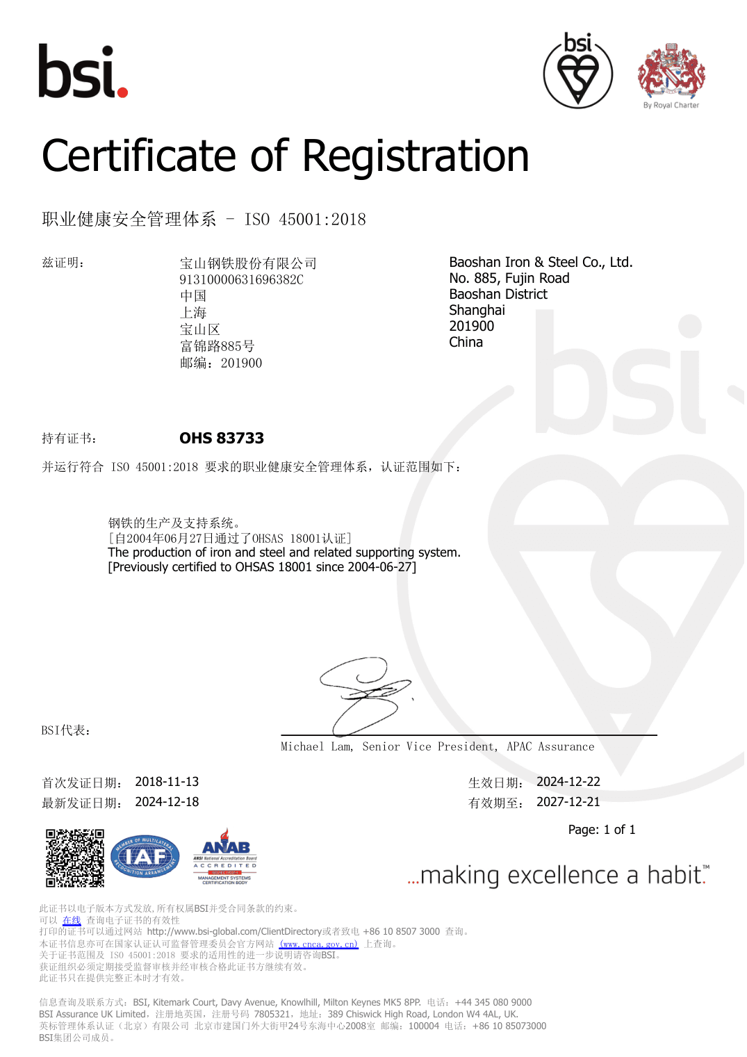 Occupational health and safety, ISO 45001:2018 scanned certificate